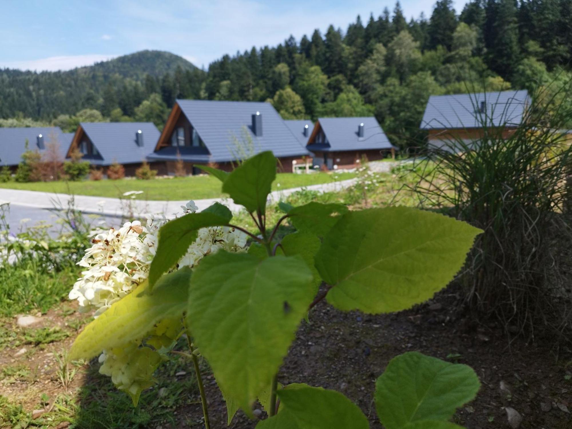 Jablonki Resort&Spa エクステリア 写真